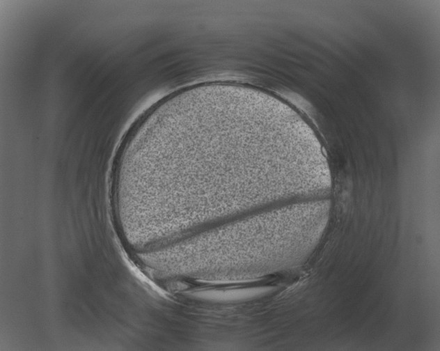 X0000080681135200701121652