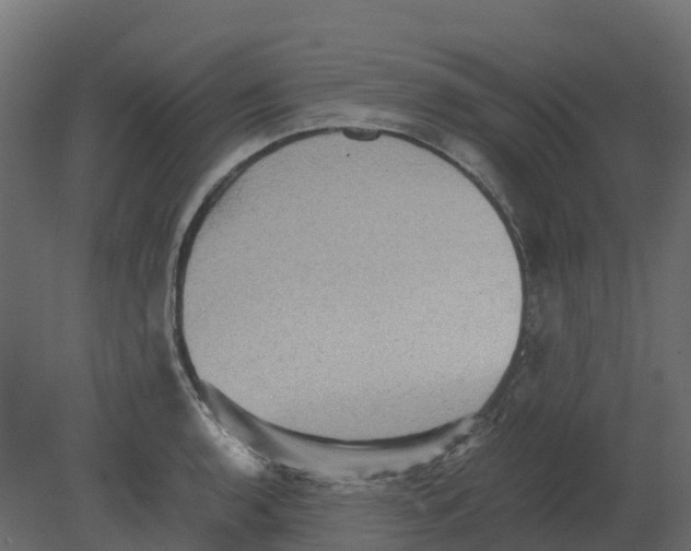 X0000080681136200701121652