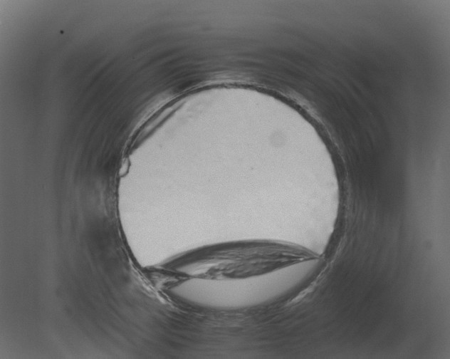 X0000080681137200701121652