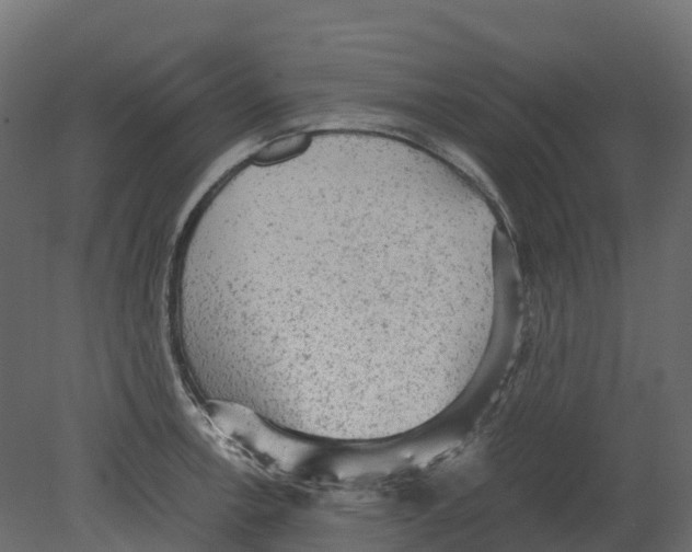 X0000080681138200701121652