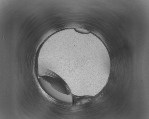 X0000080681139200701121652