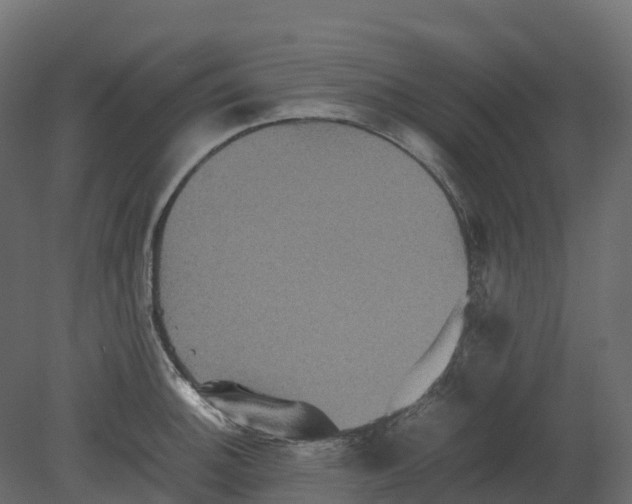 X0000080681140200701121652