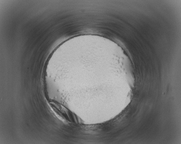 X0000080681141200701121652