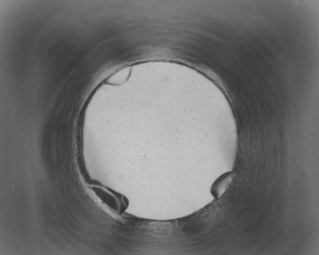 X0000080681142200701121652