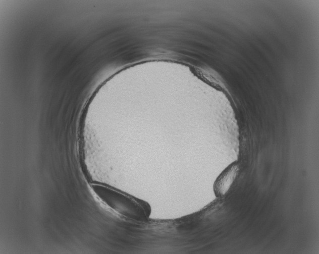 X0000080681143200701121652