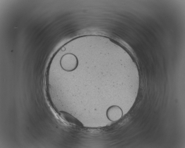 X0000080681144200701121652