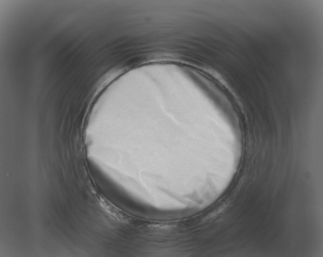 X0000080681145200701121652