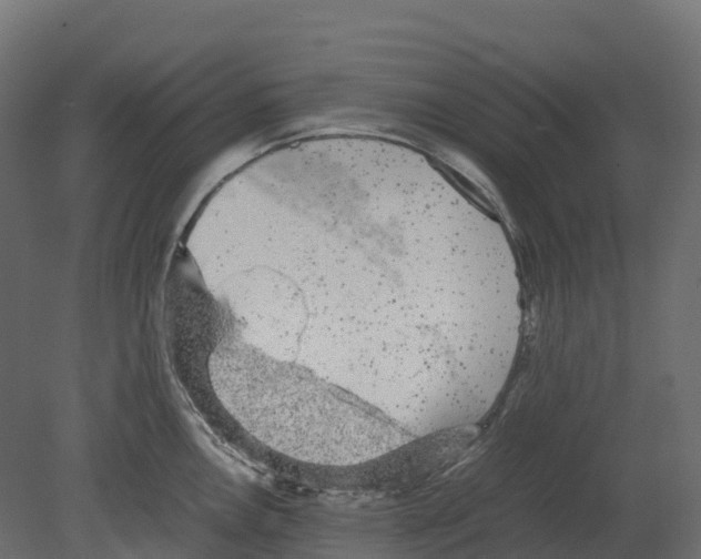 X0000080681146200701121652