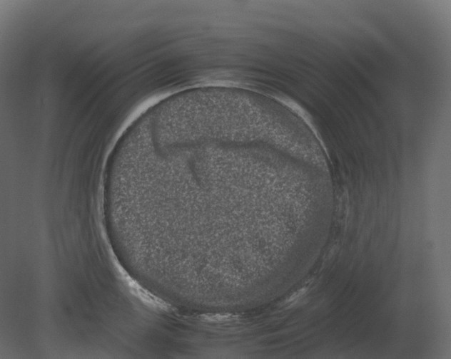 X0000080681147200701121652