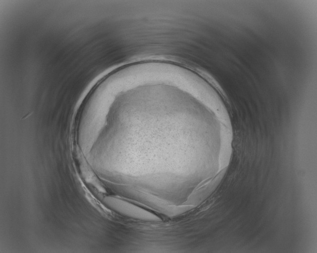 X0000080681148200701121652