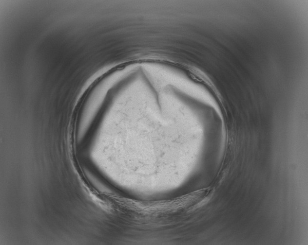 X0000080681149200701121652