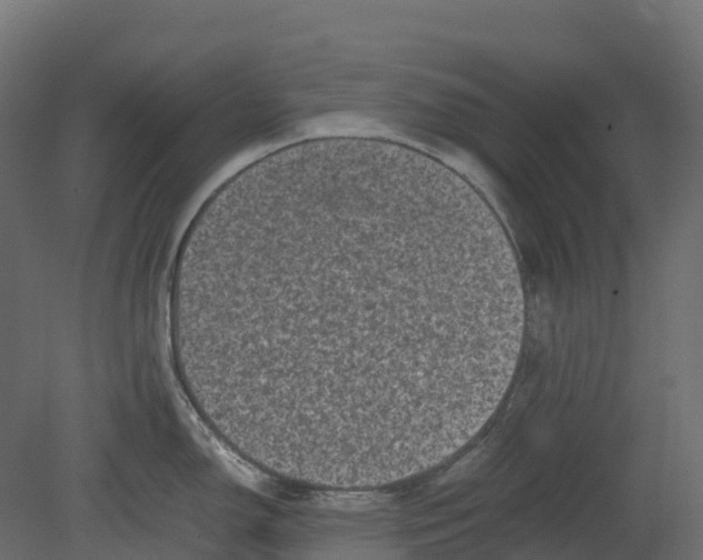 X0000080681150200701121652