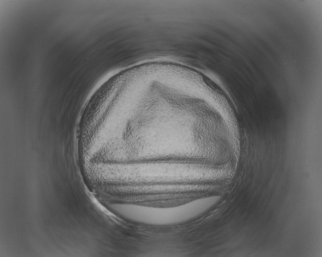 X0000080681151200701121652