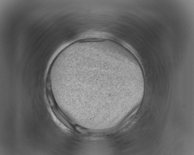 X0000080681152200701121652