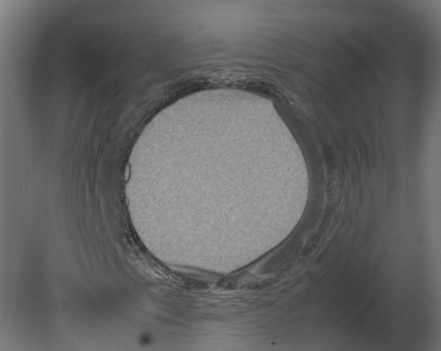 X0000080681153200701121651