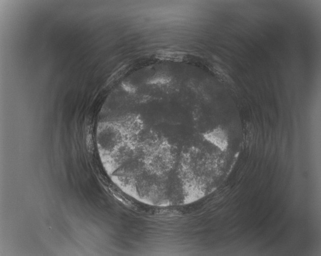 X0000080681154200701121651