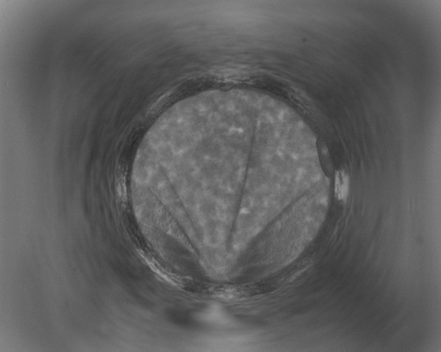 X0000080681155200701121651