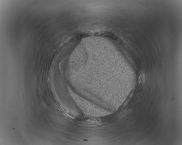 X0000080681156200701121651