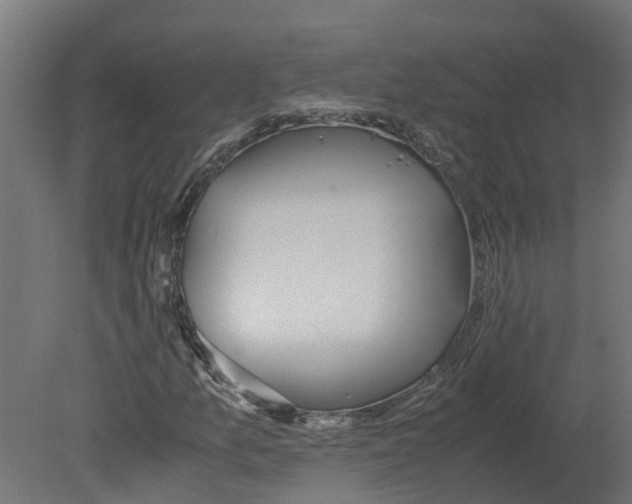 X0000080681157200701121651