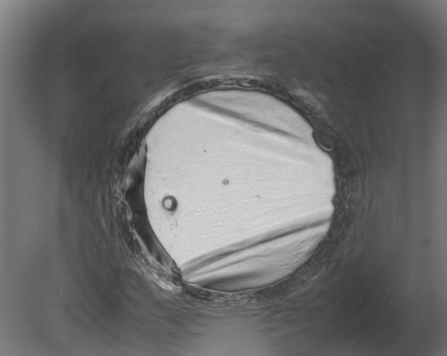 X0000080681159200701121651