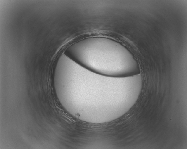 X0000080681160200701121651