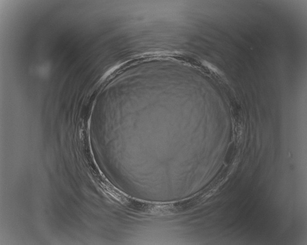 X0000080681161200701121651