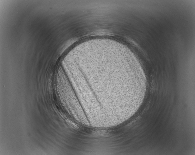 X0000080681162200701121651