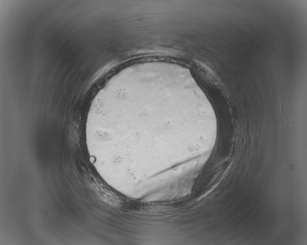 X0000080681163200701121651