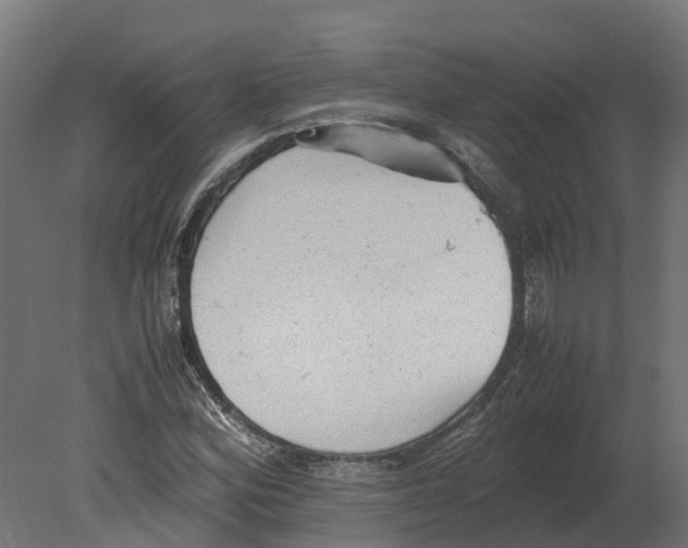 X0000080681164200701121651