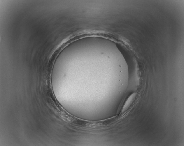 X0000080681165200701121651