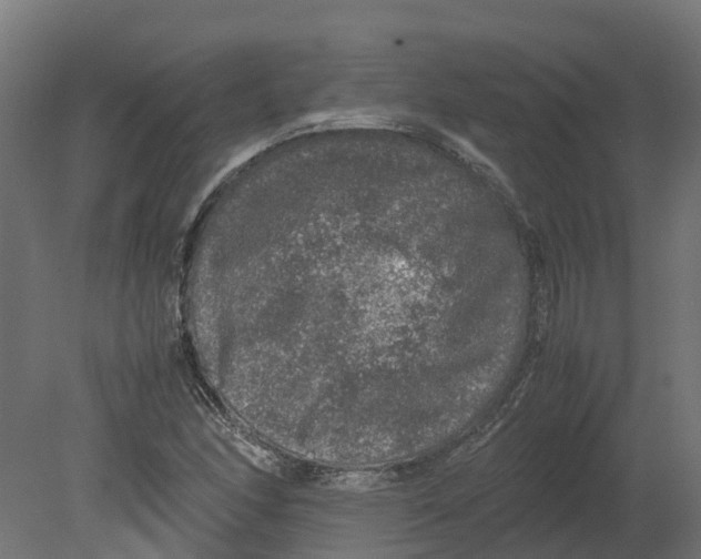 X0000080681166200701121651