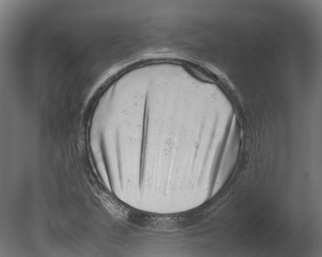 X0000080681167200701121651