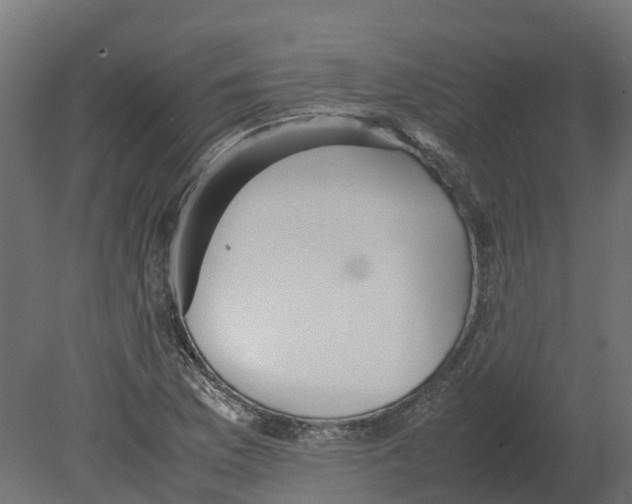 X0000080681169200701121651