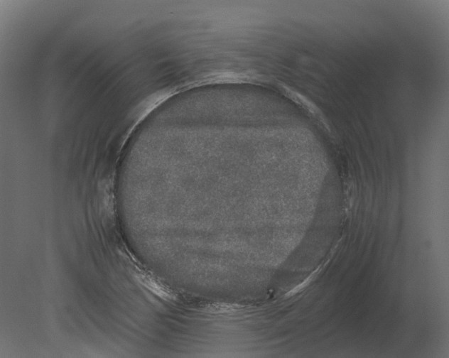 X0000080681170200701121651