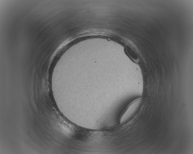 X0000080681172200701121651