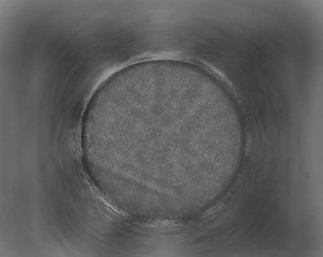 X0000080681174200701121651