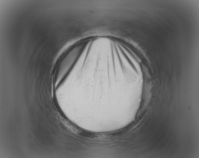 X0000080681175200701121651