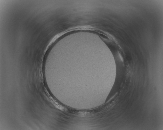 X0000080681176200701121651