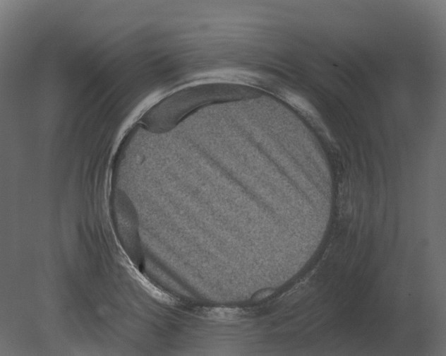 X0000080681180200701121651