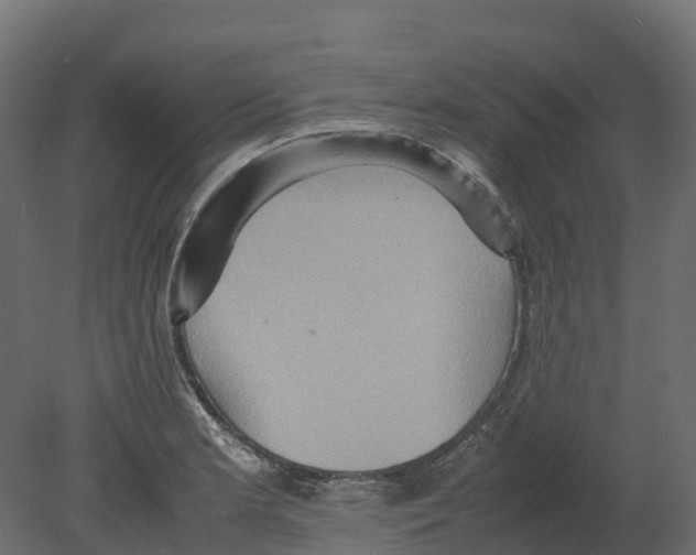 X0000080681181200701121651