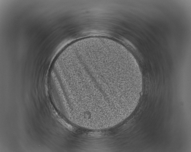 X0000080681182200701121651