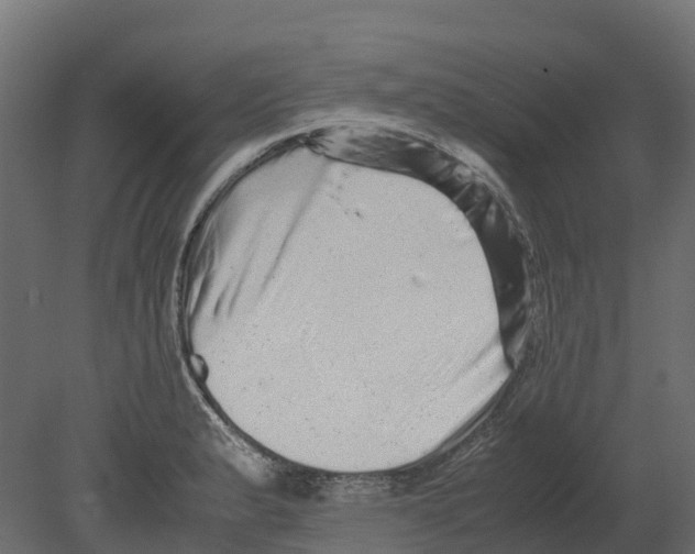 X0000080681183200701121651