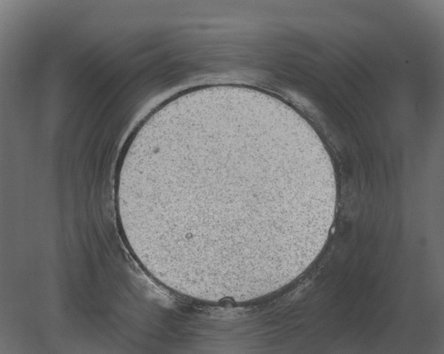 X0000080681184200701121651