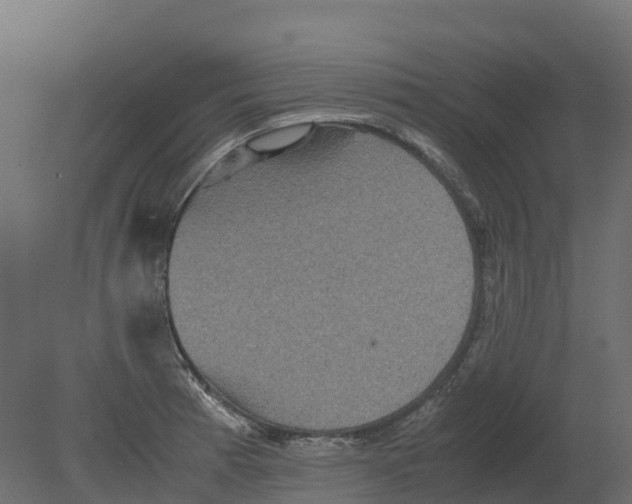 X0000080681185200701121651