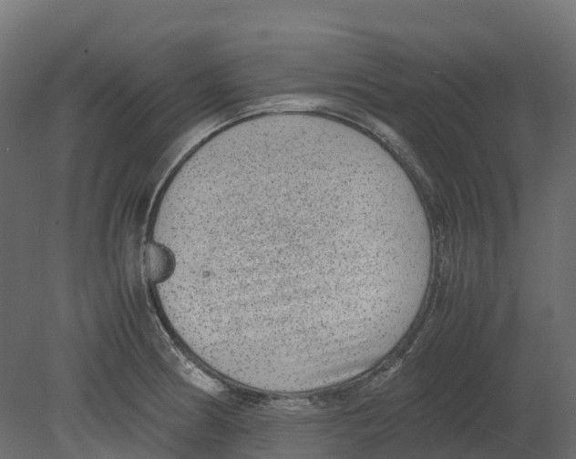 X0000080681186200701121651