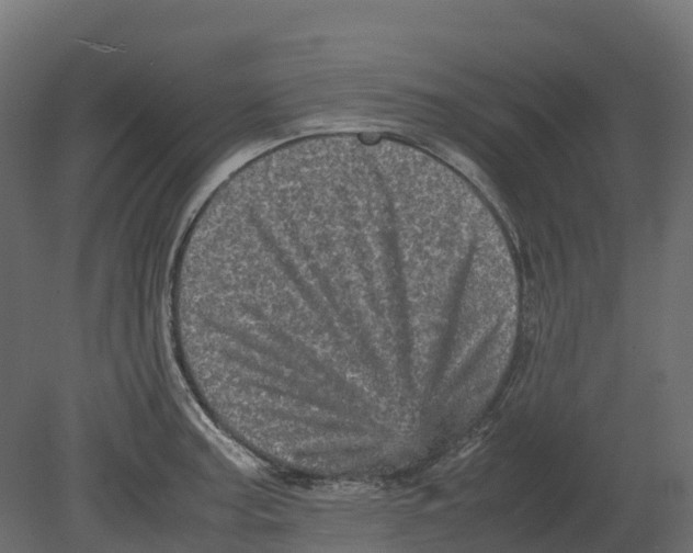 X0000080681187200701121651