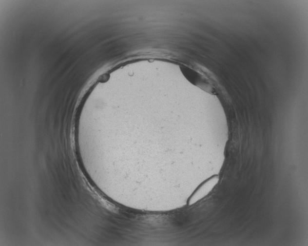 X0000080681188200701121651