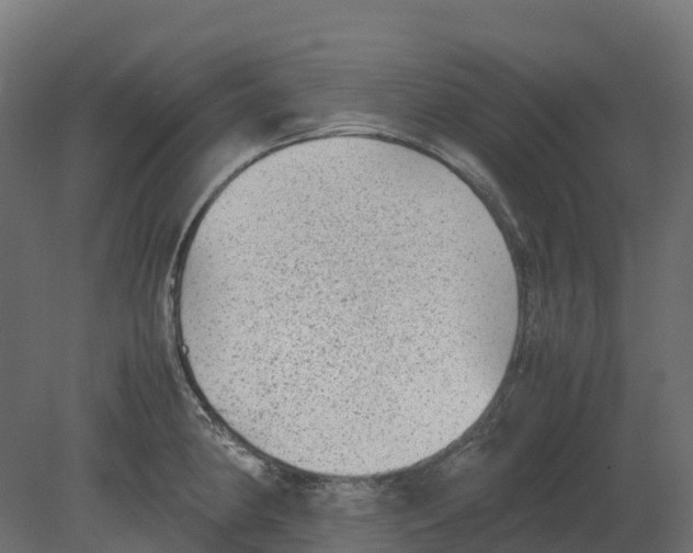 X0000080681190200701121651