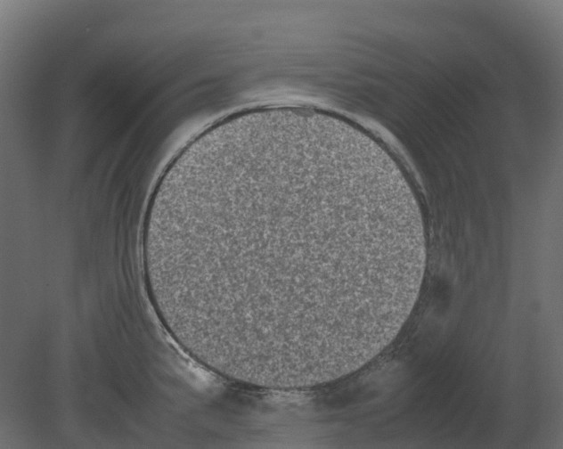 X0000080681191200701121651