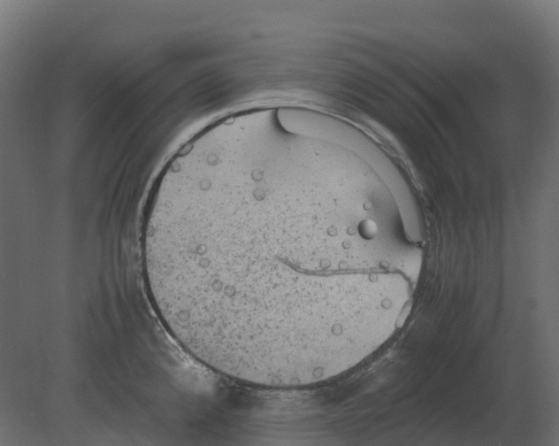 X0000080681192200701121651